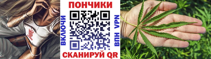 Шишки марихуана планчик  Купить закладки  Белореченск 